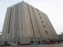 �������͹�Ԣ���������ɽ��ʡ�����������̩ɽ����