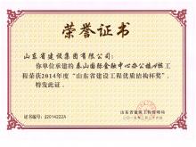 ̩ɽ����A¥ɽ��ʡDG���˹������ʽṹ��