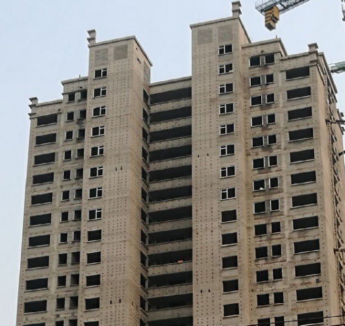 DG����(�й���)����