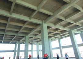 DG����(�й���)����