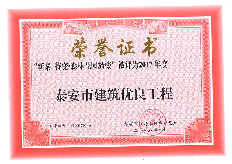 DG����(�й���)����