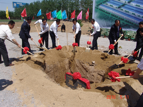 DG����(�й���)����